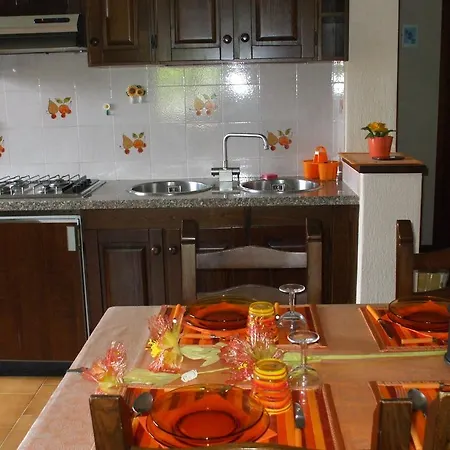Apartment Garden House